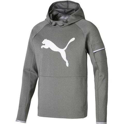 Bluza męska Puma Tec Sports Cat Hoody szara 854168 03