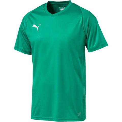 Koszulka męska Puma Liga Core Jersey zielona 703509 05