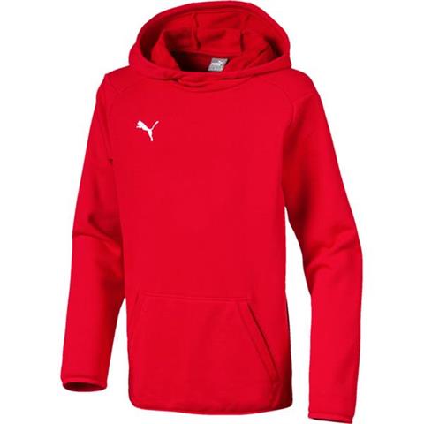 Bluza dla dzieci Puma Liga Casuals Hoody JUNIOR czerwona 655636 01