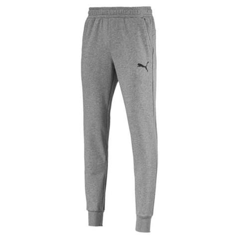 Spodnie męskie Puma ESS Logo TR CL szare 851754 23