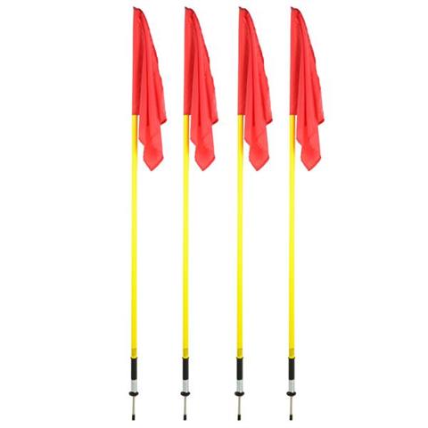 CHORĄGIEWKA BOISKOWA SELECT 4szt 11869